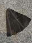 BLACK SUEDE SHIFT BOOT